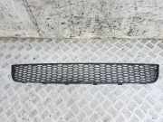 Gitter vorne unten AUDI TT (8N3) 1.8 T 8N0807683A