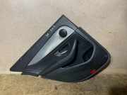 Türverkleidung links hinten Mercedes-Benz E-Klasse (W213) A0028201901