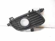 Blende Nebelscheinwerfer Mercedes-Benz A-Klasse (W169) A1698850622