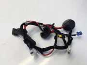 Türverkabelung hinten links