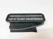 Ziergitter Mercedes-Benz SL (R230) A2308300342