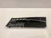 Kühlergrill links BMW 5er Touring (F11) 7200699