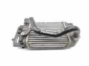 Ladeluftkühler Toyota Yaris Liftback (P9) JD1270000620