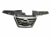 Vorderer oberer Gitter NISSAN JUKE (F15) 1.5 dCi 620721KA6A