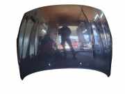 Motorhaube Volvo V60 I (155)