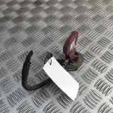 Antenne AUDI A5 (F53) 35 TFSI Mild Hybrid 4M0035507