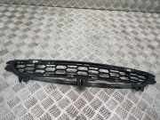 Gitter vorne unten BMW X3 (F25) xDrive 30 d 8048096