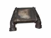 Ladeluftkühler VW Passat B5.5 (3B3) 1784594