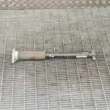 Stoßdämpfer hinten links MERCEDES-BENZ C (W205) C 220 BlueTEC / d (205.003) A2053207830