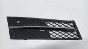 Gitter vorne unten BMW 5 Touring (F11) 518 d 7200700