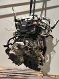 Motor OPEL SIGNUM 2.0 DTI Y22DTR