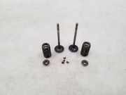 Einlassventile BMW 5 (F10) 550 i xDrive