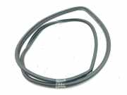 Türgummi rechts vorne Toyota Prius (W5)