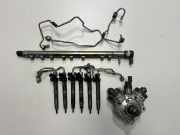 Einspritzanlage Diesel BMW X5 (F15, F85) 7823461