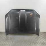 Motorhaube TOYOTA LAND CRUISER (_J15_) 2.8 D-4D (GDJ150_, GDJ155_) 53301-60760