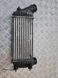 Ladeluftkühler PEUGEOT EXPERT Furgon (VF3A_, VF3U_, VF3X_) 2.0 HDi 140 96609