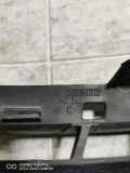 Gitter vorne unten RENAULT GRAND SCÉNIC II (JM0/1_) 1.5 dCi (JM02, JM13) 8200140330