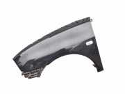 Kotflügel vorne links SEAT IBIZA III (6L1) 1.2