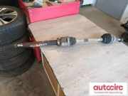 Kardanwelle Ford Focus III (DYB)