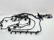 Kabel Motor BMW X5 (E70) 12517802264