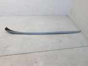 Zier-/Schutzleiste für Türscheibe BMW 3er (E90) 36050
