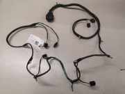 Kabelbaum Jaguar S-Type (X200) 4R8T14369CC