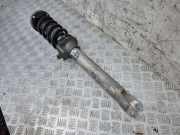 Stoßdämpfersatz Vorderachse BMW 6er Coupe (F13) 2284846