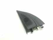 Türlautsprecher vorne links