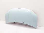 Motorhaube Renault Twingo III (BCM) 651004005R