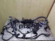 Kabel Motor BMW X5 (E70) 53781210