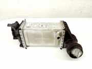 Ladeluftkühler SKODA SCALA 1.0 TSI 04E906051N 05C145785D