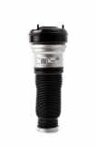 Gasdruckfeder Mercedes-Benz S-Klasse (W220) 2203202238