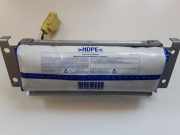 Armaturenbrett Airbag NISSAN PATHFINDER III (R51) 2.5 dCi 4WD 6038820B