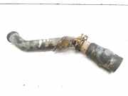 Schlauch Kühlung PEUGEOT 607 (9D, 9U) 2.2 HDI