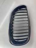 Vorderer oberer Gitter BMW 5 Touring (E61) 520 d 10627110