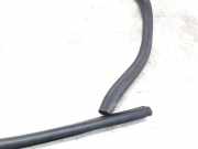 Türgummi links vorne Peugeot 307 CC ()