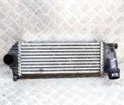 Ladeluftkühler RENAULT KANGOO Express (FW0/1_) 1.5 dCi 90 (FW0G) Y5665004 144963234R