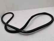 Türdichtung Seat Leon (5F)