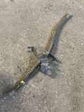 Bremsschläuche CITROËN BERLINGO (MF) 1.6 16V (MFNFU)