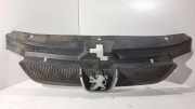 Vorderer oberer Gitter PEUGEOT 406 (8B) 2.0 16V HPi 9631250277
