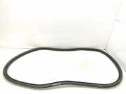 Türdichtungsgummi hinten rechts OPEL CORSA F CORSA-e (68)
