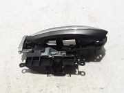 Türgriff links BMW 5er (F10)