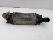 Ladeluftkühler PEUGEOT 407 (6D_) 2.0 HDi 9683009680
