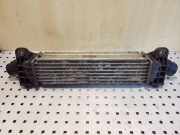 Ladeluftkühler FORD MONDEO III (B5Y) 2.0 16V DI / TDDi / TDCi 1S7Q9L440AE