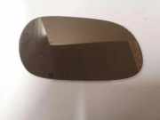 Türspiegelglas vorne rechts