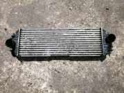 Ladeluftkühler RENAULT TRAFIC II Furgon (FL) 2.5 dCi 7700312903