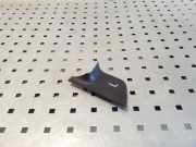 Türverkleidung links vorne Fiat Ducato Pritsche (290)