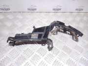 Türpolsterverkleidung hinten rechts JAGUAR XF (X250) 2.7 D 8X2324994AE