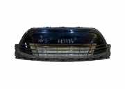 Gitter vorne unten FORD S-MAX 2.0 TDCi AM2117B968BD