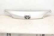 Kofferraumdeckelverkleidung TOYOTA RAV 4 IV (_A4_) 2.0 D (ALA40_) 7683942030
